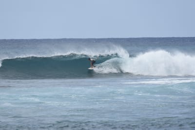 DSC_9394.JPG
