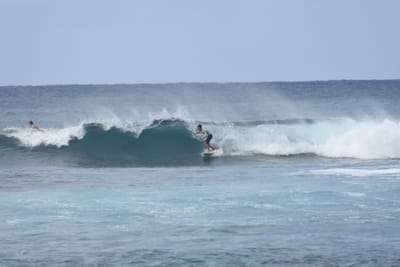 DSC_9396.JPG