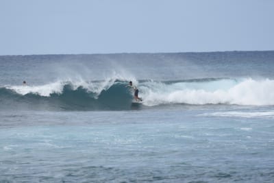 DSC_9397.JPG