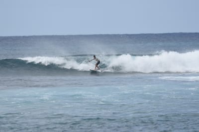 DSC_9399.JPG
