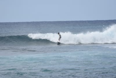 DSC_9401.JPG