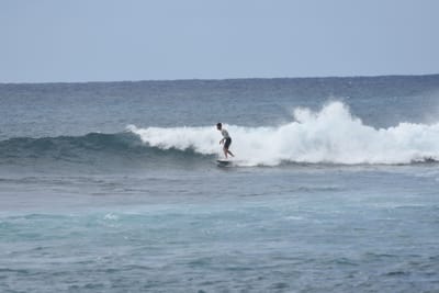 DSC_9402.JPG