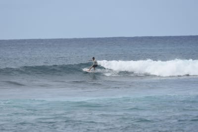 DSC_9405.JPG