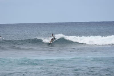 DSC_9408.JPG