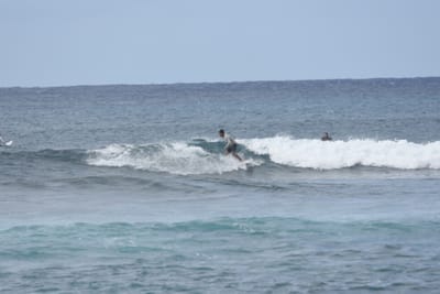 DSC_9412.JPG