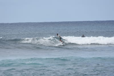 DSC_9413.JPG