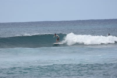 DSC_9419.JPG