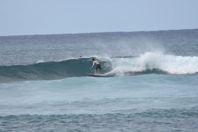 DSC_9422.JPG
