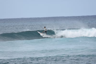 DSC_9423.JPG