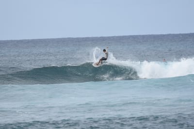 DSC_9426.JPG