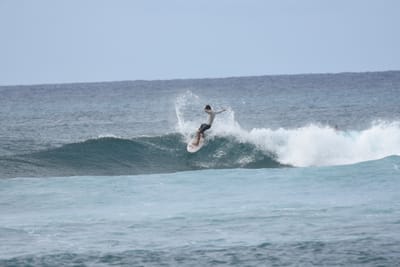DSC_9427.JPG