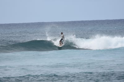 DSC_9429.JPG