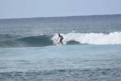 DSC_9431.JPG