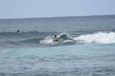 DSC_9436.JPG