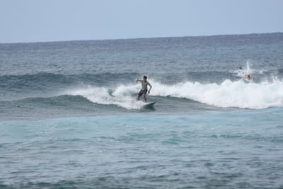 DSC_9440.JPG