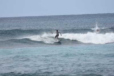 DSC_9441.JPG