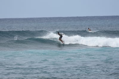 DSC_9442.JPG