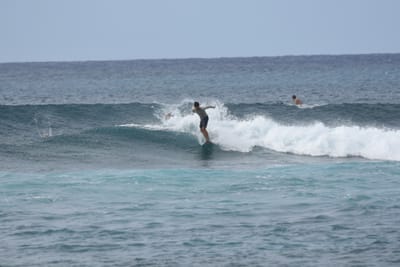 DSC_9443.JPG