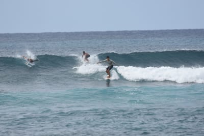 DSC_9444.JPG