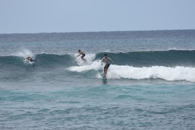 DSC_9445.JPG
