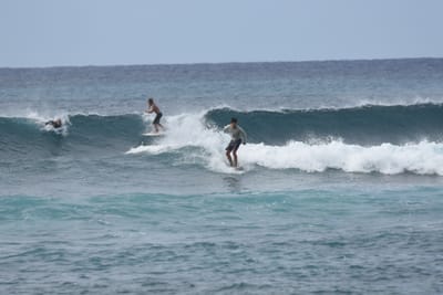 DSC_9446.JPG