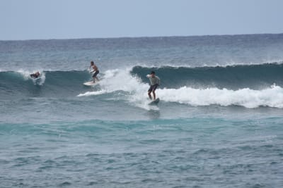 DSC_9447.JPG
