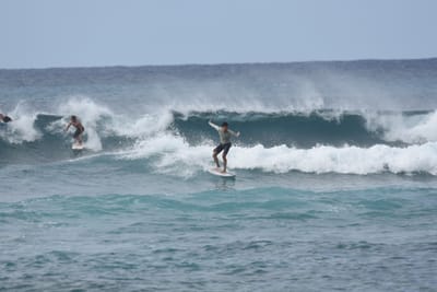 DSC_9448.JPG