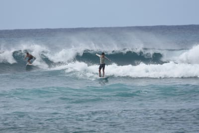 DSC_9449.JPG