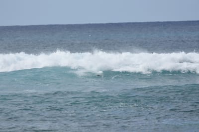 DSC_9450.JPG