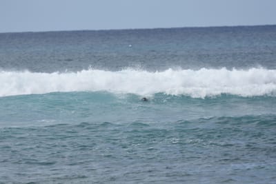 DSC_9451.JPG