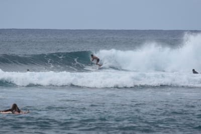DSC_9457.JPG