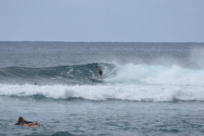 DSC_9458.JPG