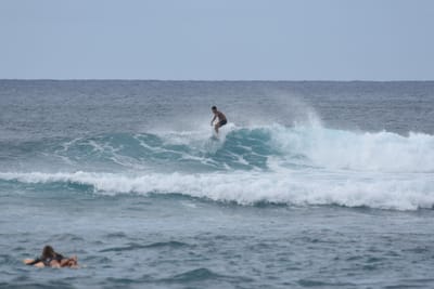 DSC_9462.JPG