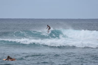 DSC_9463.JPG