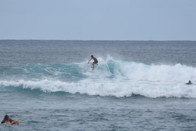 DSC_9464.JPG
