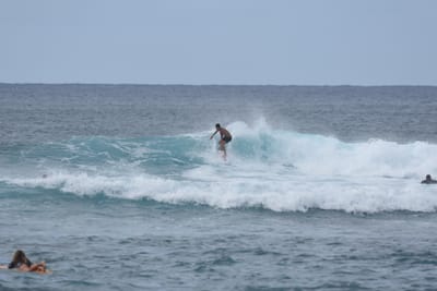 DSC_9465.JPG