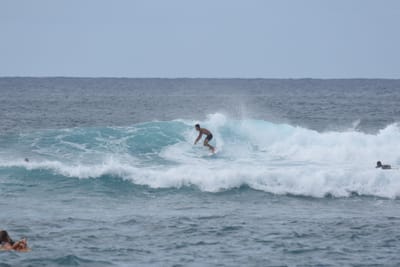 DSC_9466.JPG