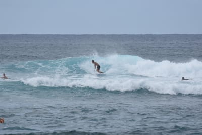 DSC_9468.JPG