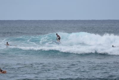 DSC_9469.JPG