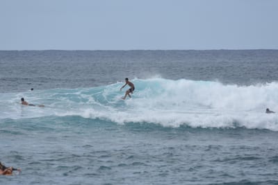 DSC_9470.JPG