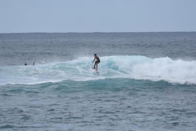 DSC_9476.JPG