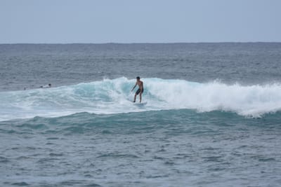 DSC_9478.JPG