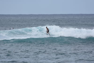 DSC_9479.JPG