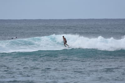 DSC_9480.JPG