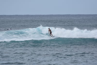 DSC_9481.JPG