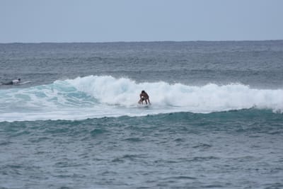 DSC_9482.JPG