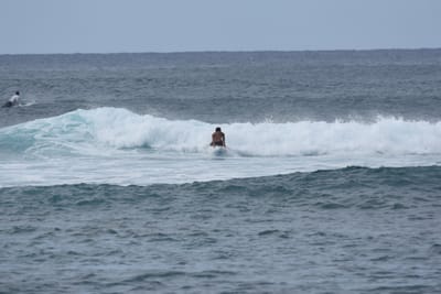 DSC_9483.JPG