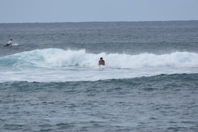 DSC_9484.JPG