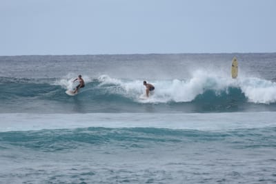 DSC_9486.JPG