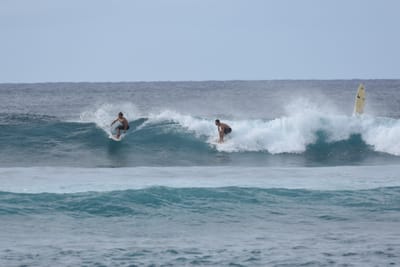 DSC_9487.JPG